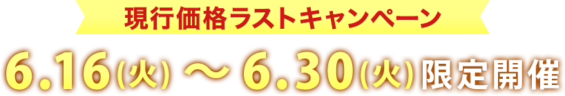 現行価格ラストキャンペーン6月16日(火)~6月30日(火)限定開催