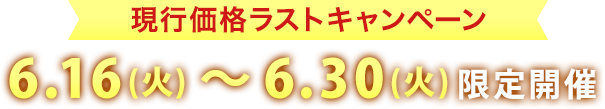 現行価格ラストキャンペーン6月16日(火)~6月30日(火)限定開催